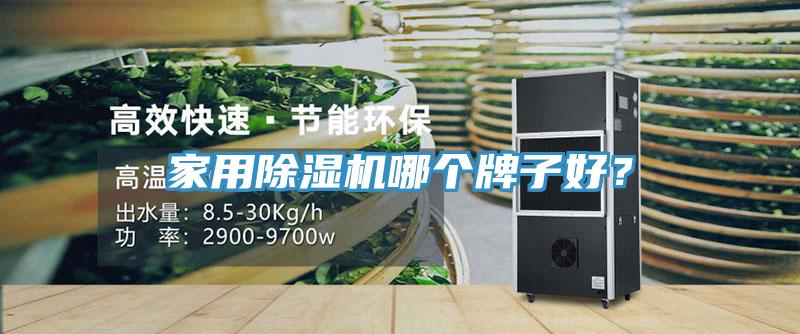 家用除濕機(jī)哪個(gè)牌子好？