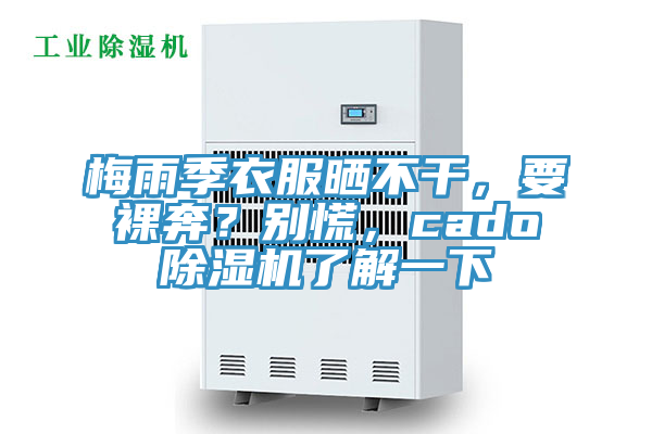 梅雨季衣服曬不干，要裸奔？別慌，cado除濕機(jī)了解一下