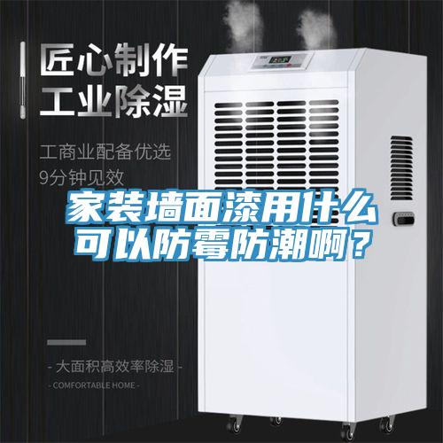 家裝墻面漆用什么可以防霉防潮?。?></div>
								<div   id=