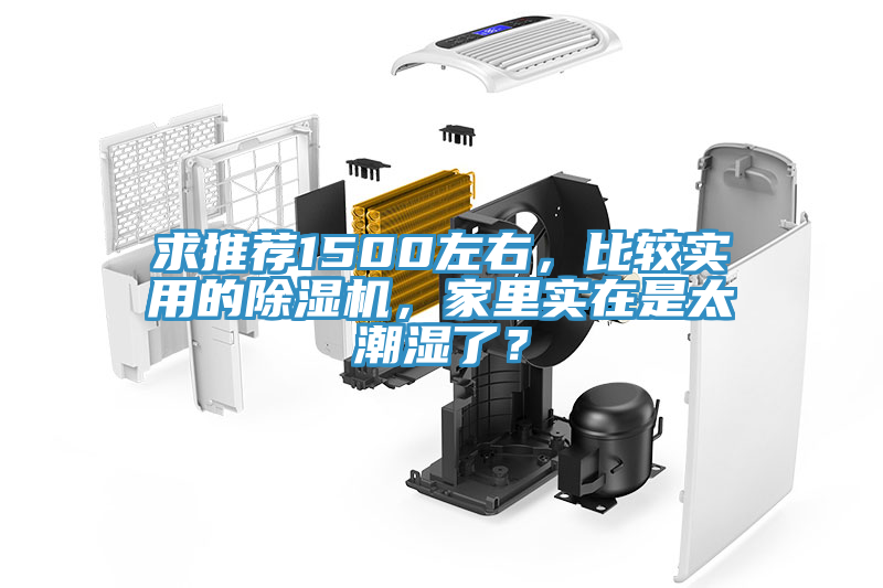 求推薦1500左右，比較實用的除濕機，家里實在是太潮濕了？