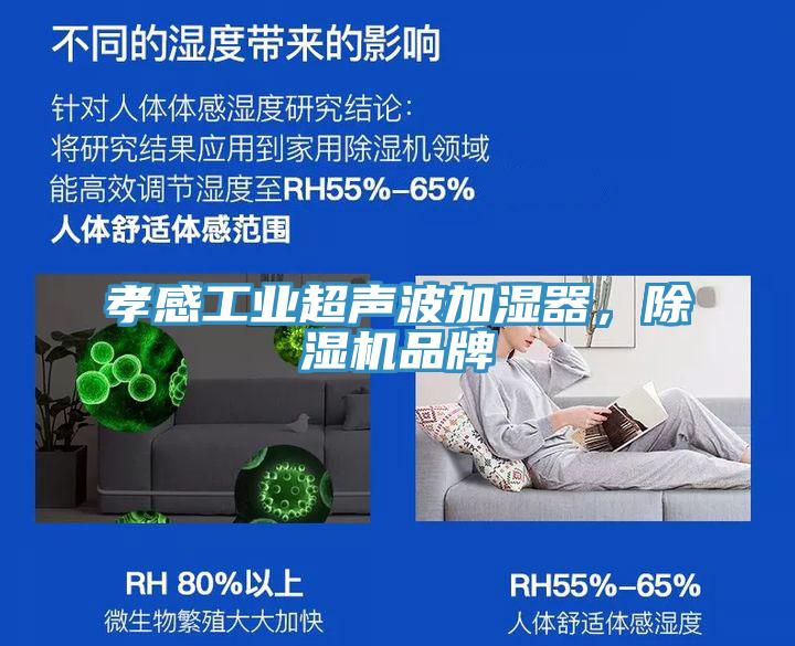 孝感工業(yè)超聲波加濕器，除濕機(jī)品牌