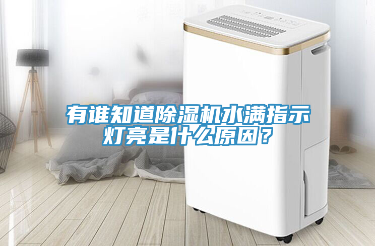 有誰知道除濕機水滿指示燈亮是什么原因？