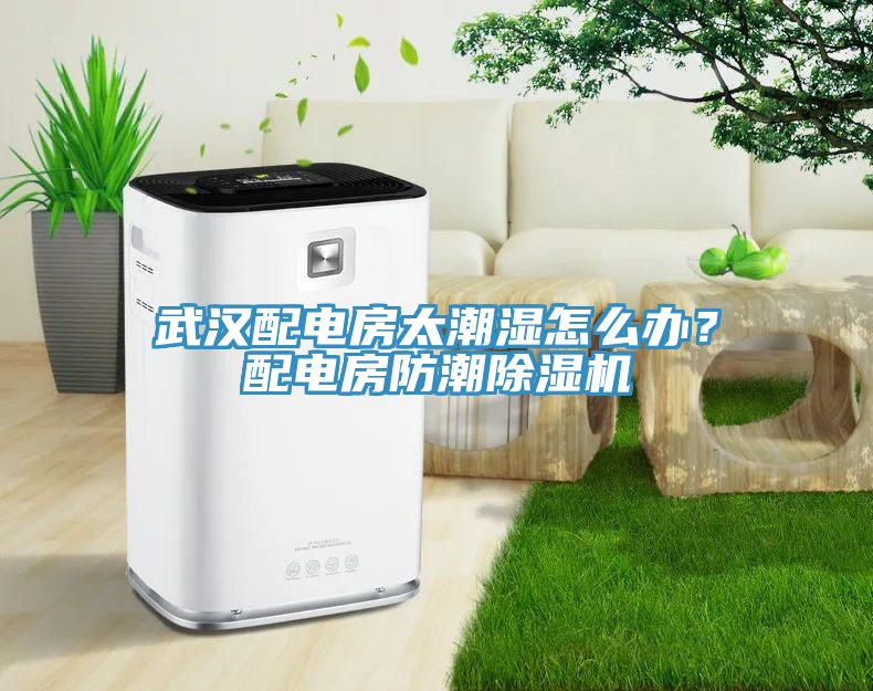 武漢配電房太潮濕怎么辦？配電房防潮除濕機(jī)