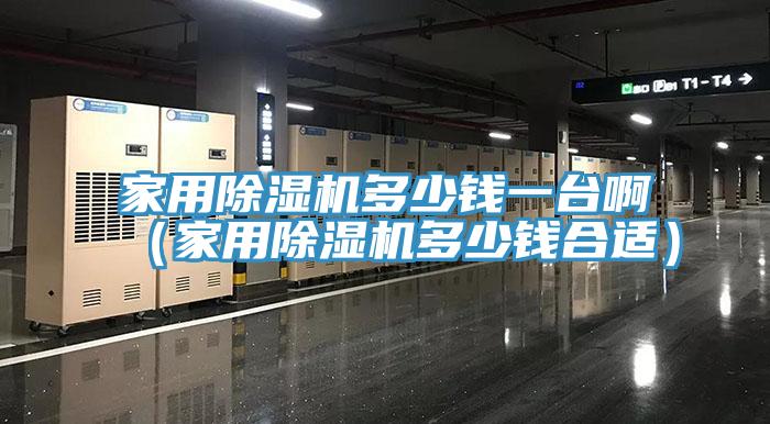 家用除濕機(jī)多少錢一臺(tái)?。矣贸凉駲C(jī)多少錢合適）