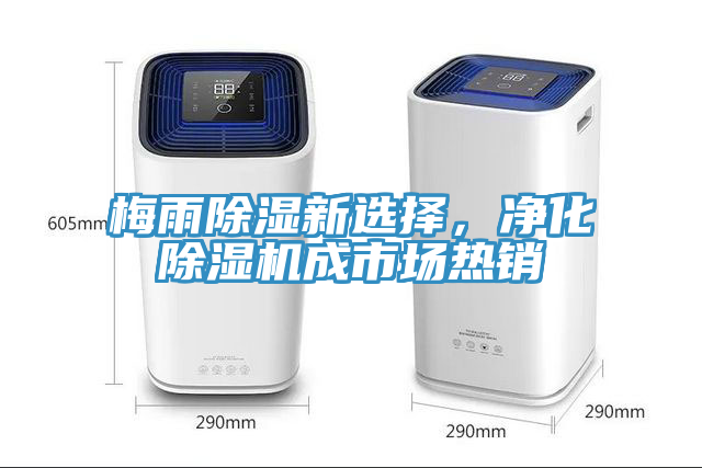 梅雨除濕新選擇，凈化除濕機(jī)成市場(chǎng)熱銷(xiāo)