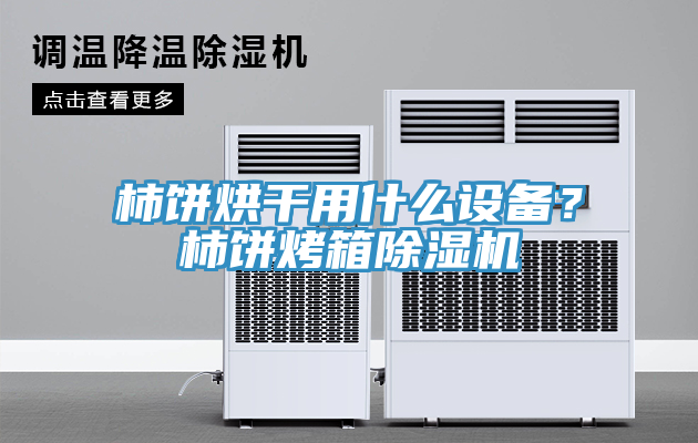 柿餅烘干用什么設(shè)備？柿餅烤箱除濕機(jī)