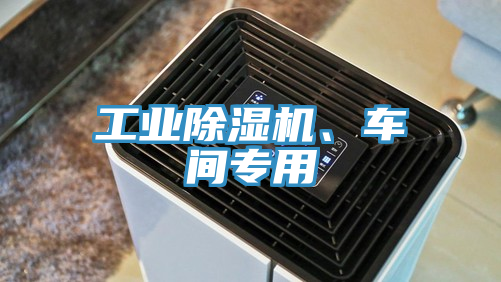 工業(yè)除濕機(jī)、車間專用