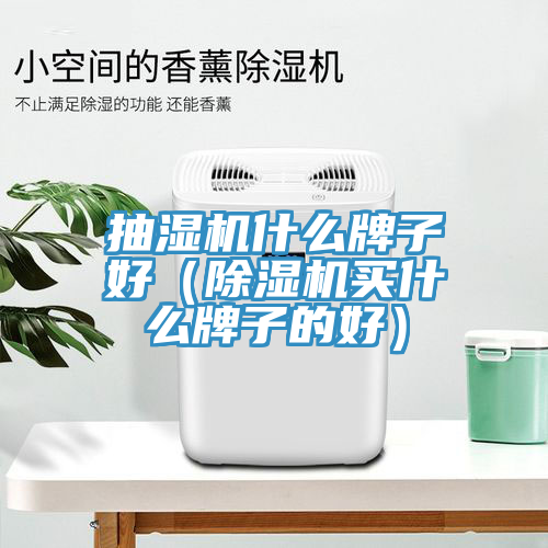 抽濕機(jī)什么牌子好(除濕機(jī)買什么牌子的好)