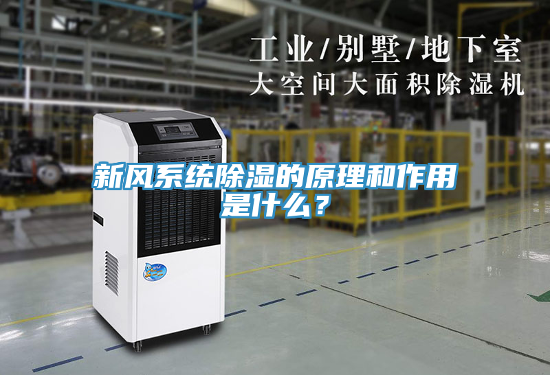 新風系統(tǒng)除濕的原理和作用是什么？