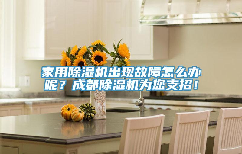 家用除濕機(jī)出現(xiàn)故障怎么辦呢？成都除濕機(jī)為您支招！
