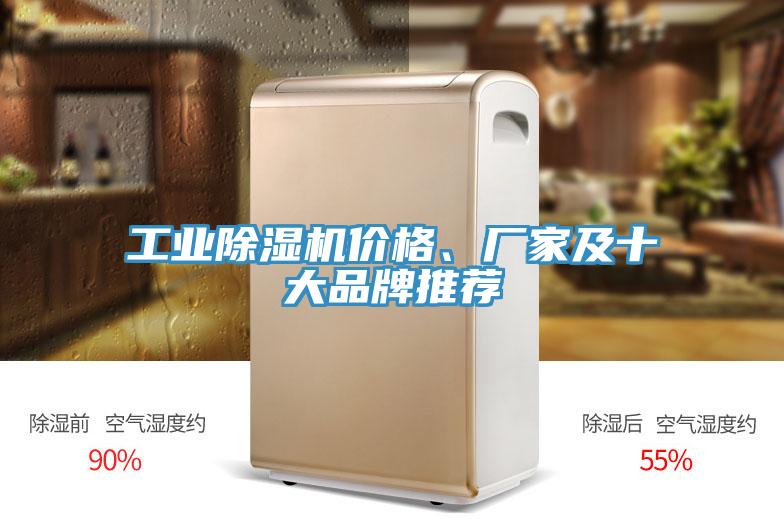 工業(yè)除濕機價格、廠家及十大品牌推薦