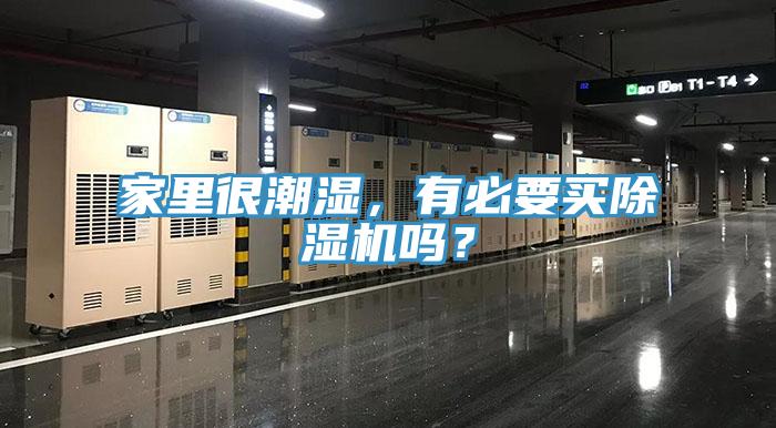 家里很潮濕，有必要買除濕機嗎？