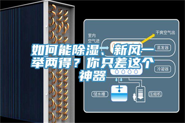 如何能除濕、新風(fēng)一舉兩得？你只差這個神器