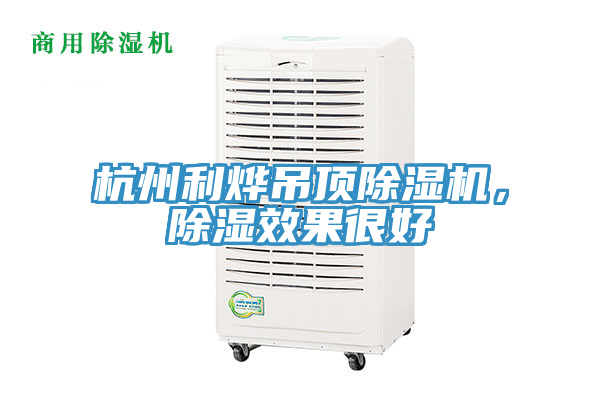 杭州利燁吊頂除濕機，除濕效果很好