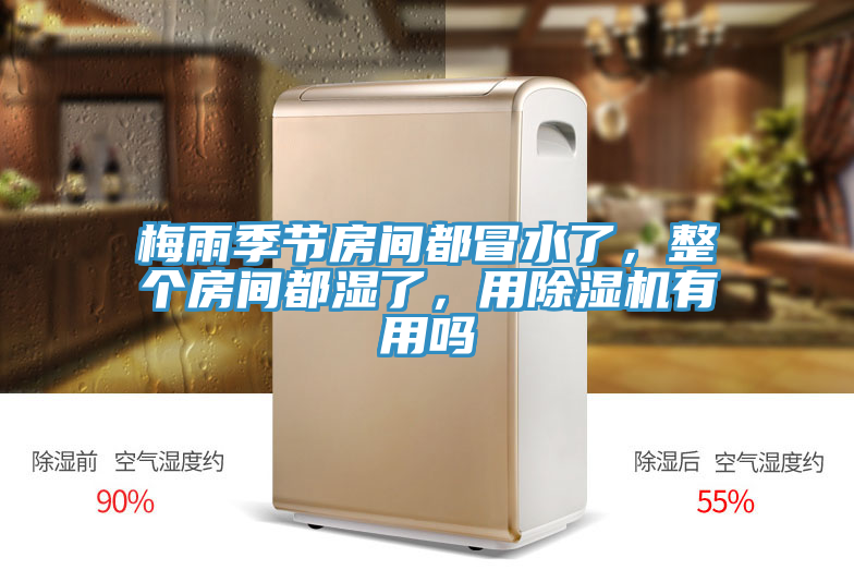 梅雨季節(jié)房間都冒水了，整個(gè)房間都濕了，用除濕機(jī)有用嗎