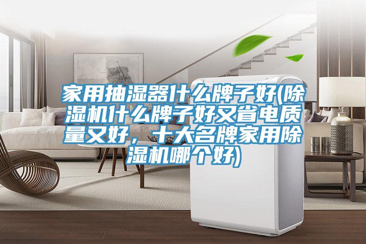 家用抽濕器什么牌子好(除濕機(jī)什么牌子好又省電質(zhì)量又好，十大名牌家用除濕機(jī)哪個(gè)好)
