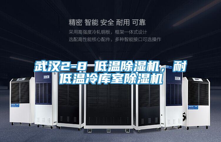 武漢2-8℃低溫除濕機(jī)，耐低溫冷庫室除濕機(jī)