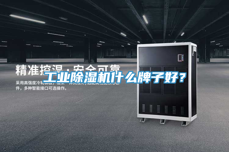 工業(yè)除濕機什么牌子好？