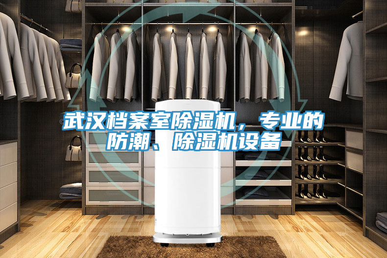 武漢檔案室除濕機(jī)，專業(yè)的防潮、除濕機(jī)設(shè)備