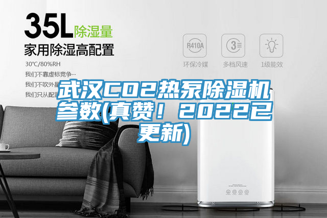 武漢CO2熱泵除濕機(jī)參數(shù)(真贊！2022已更新)