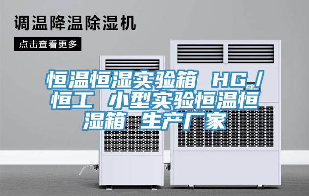 恒溫恒濕實(shí)驗(yàn)箱 HG/恒工 小型實(shí)驗(yàn)恒溫恒濕箱 生產(chǎn)廠家