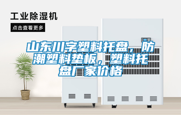 山東川字塑料托盤，防潮塑料墊板，塑料托盤廠家價格