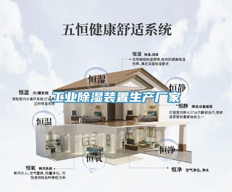 工業(yè)除濕裝置生產(chǎn)廠(chǎng)家
