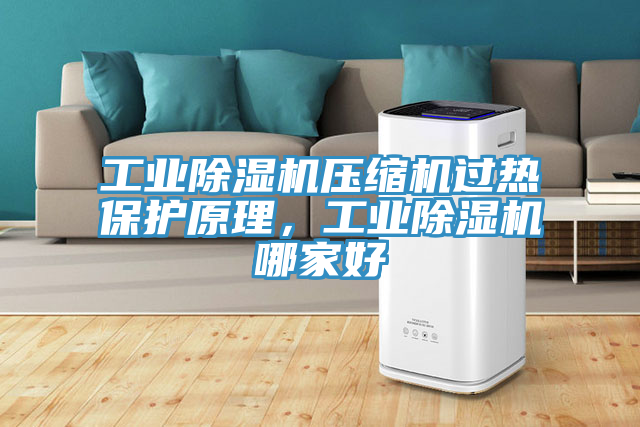 工業(yè)除濕機壓縮機過熱保護原理，工業(yè)除濕機哪家好