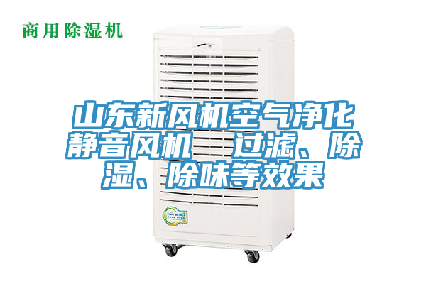 山東新風機空氣凈化靜音風機  過濾、除濕、除味等效果
