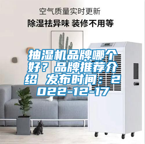 抽濕機(jī)品牌哪個(gè)好?品牌推薦介紹 發(fā)布時(shí)間:2022-12-17