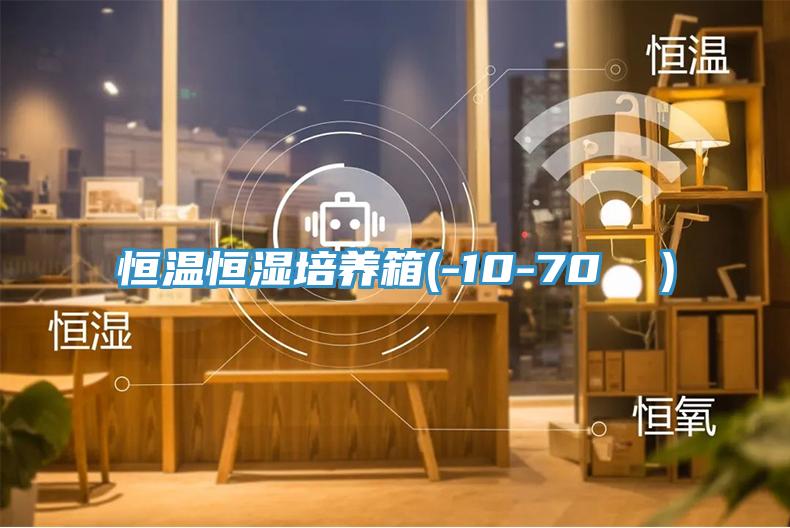 恒溫恒濕培養(yǎng)箱(-10-70 ℃)