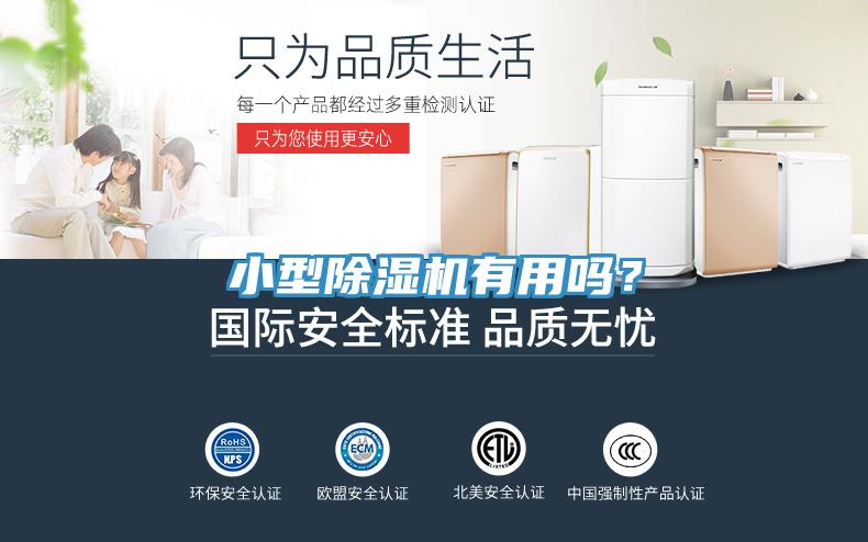 小型除濕機有用嗎？