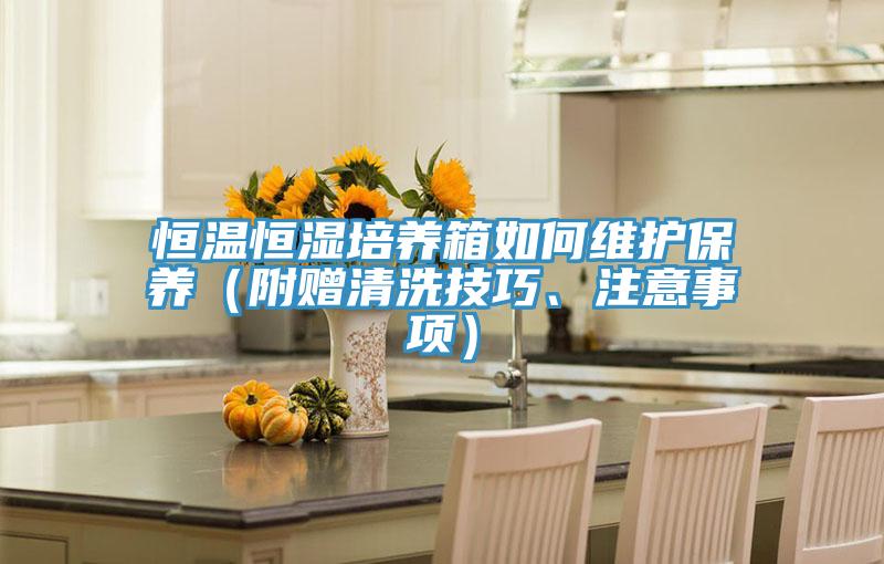 恒溫恒濕培養(yǎng)箱如何維護(hù)保養(yǎng)（附贈(zèng)清洗技巧、注意事項(xiàng)）