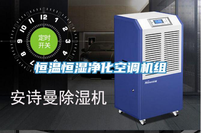 恒溫恒濕凈化空調(diào)機(jī)組