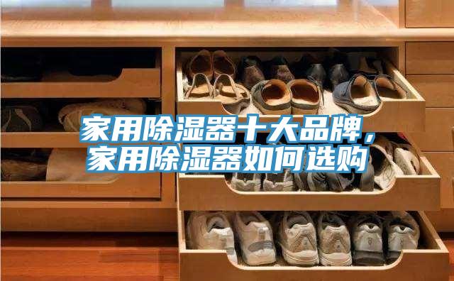家用除濕器十大品牌，家用除濕器如何選購