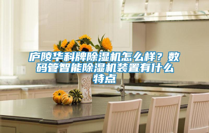 廬陵華科牌除濕機怎么樣？數(shù)碼管智能除濕機裝置有什么特點