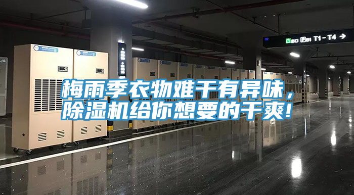 梅雨季衣物難干有異味，除濕機(jī)給你想要的干爽!
