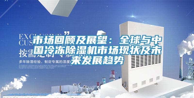 市場(chǎng)回顧及展望：全球與中國(guó)冷凍除濕機(jī)市場(chǎng)現(xiàn)狀及未來發(fā)展趨勢(shì)