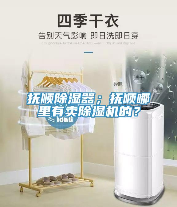 撫順除濕器；撫順哪里有賣(mài)除濕機(jī)的？