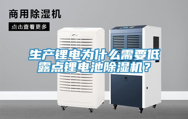 生產(chǎn)鋰電為什么需要低露點(diǎn)鋰電池除濕機(jī)？