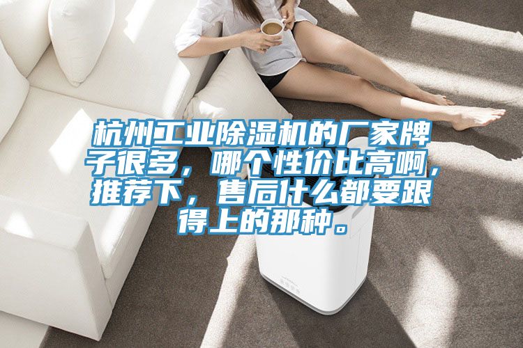 杭州工業(yè)除濕機(jī)的廠家牌子很多，哪個(gè)性價(jià)比高啊，推薦下，售后什么都要跟得上的那種。