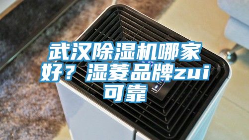 武漢除濕機(jī)哪家好？濕菱品牌zui可靠