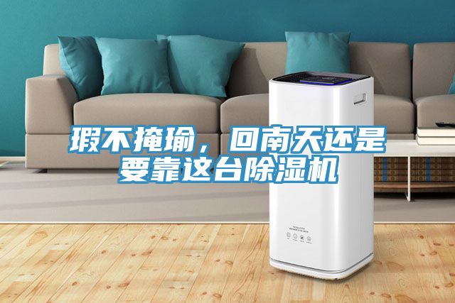 瑕不掩瑜，回南天還是要靠這臺(tái)除濕機(jī)
