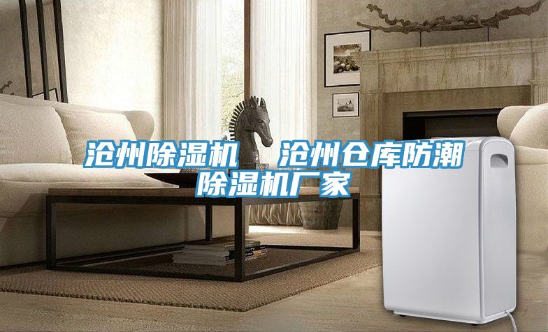 滄州除濕機(jī) 滄州倉(cāng)庫(kù)防潮除濕機(jī)廠家