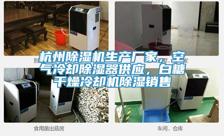 杭州除濕機(jī)生產(chǎn)廠家，空氣冷卻除濕器供應(yīng)，白糖干燥冷卻機(jī)除濕銷售