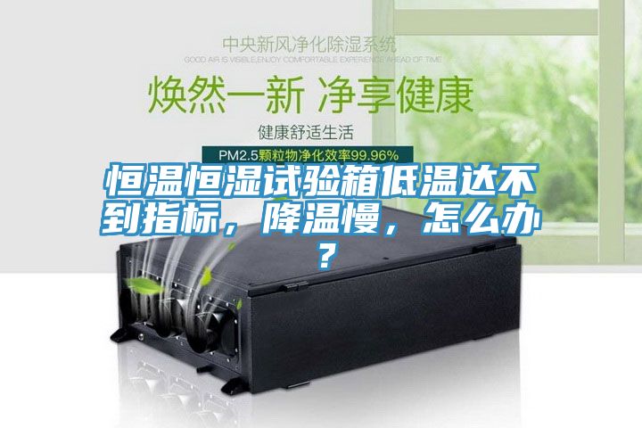恒溫恒濕試驗箱低溫達(dá)不到指標(biāo)，降溫慢，怎么辦？