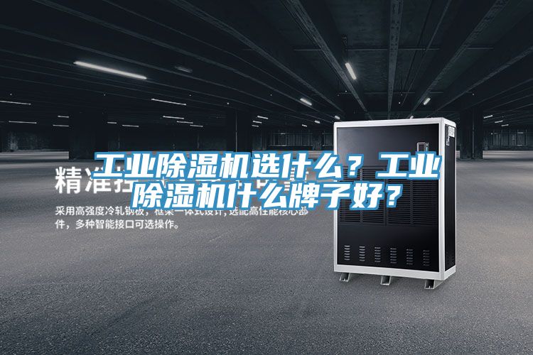 工業(yè)除濕機(jī)選什么？工業(yè)除濕機(jī)什么牌子好？