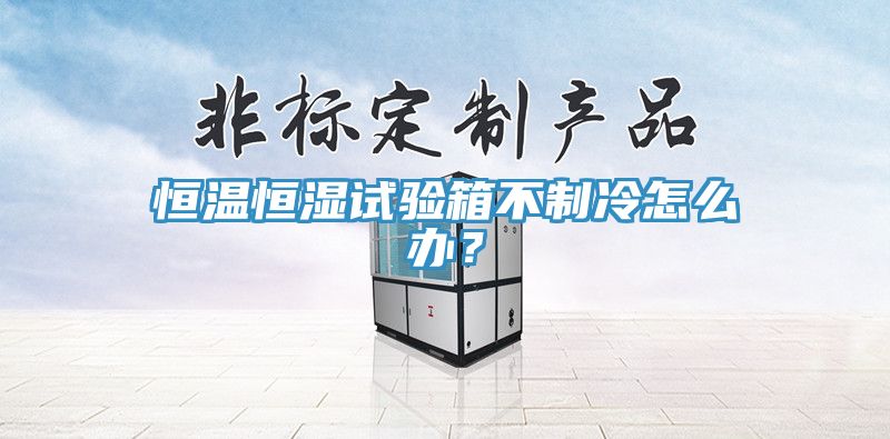 恒溫恒濕試驗箱不制冷怎么辦？