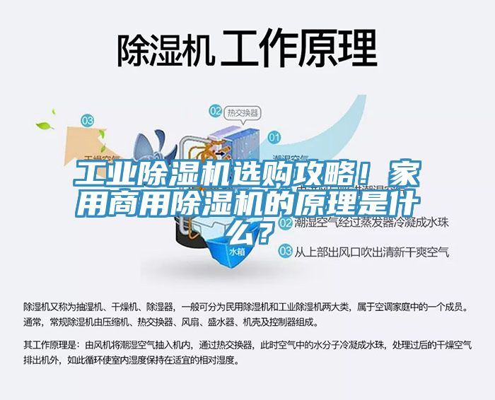 工業(yè)除濕機選購攻略！家用商用除濕機的原理是什么？