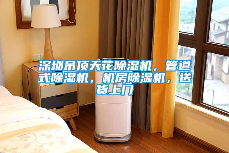 深圳吊頂天花除濕機(jī)，管道式除濕機(jī)，機(jī)房除濕機(jī)，送貨上門(mén)